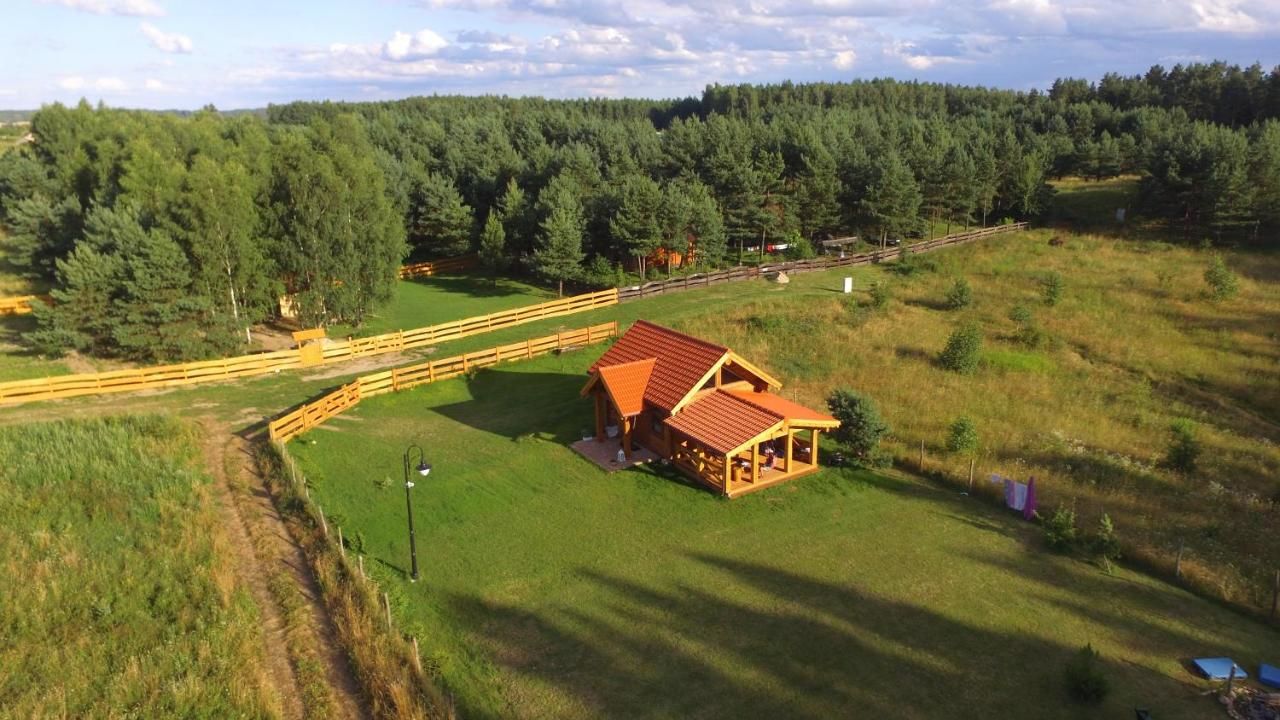Дома для отпуска Dom z bala Sosnowy Мронгово